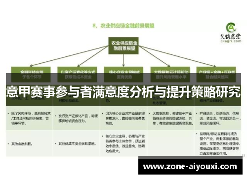 意甲赛事参与者满意度分析与提升策略研究